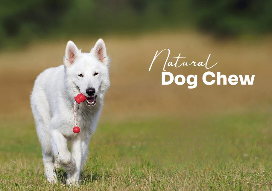 Why We Should Prefer Natural Dog Chews